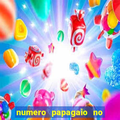 numero papagaio no jogo do bicho